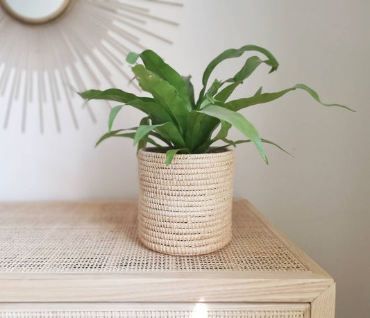 Moroccan basket, cosmetic basket, storage basket, plant basket, boho basket, handmade from raffia, fair, sustainable, basket from Marrakech